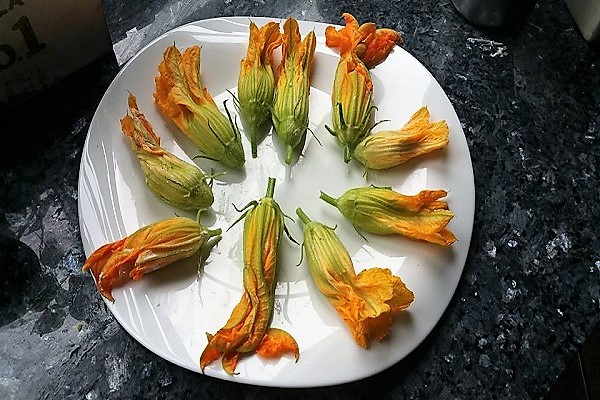 flores de calabacín